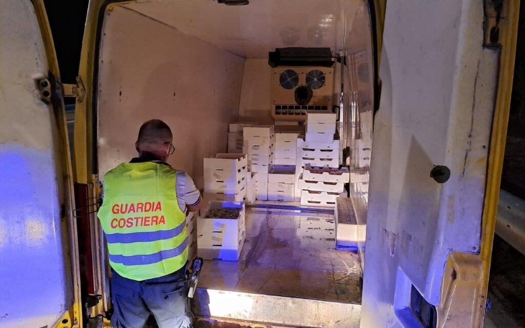 Controlli sul pescato, maxi sequestro di vongole a Roseto