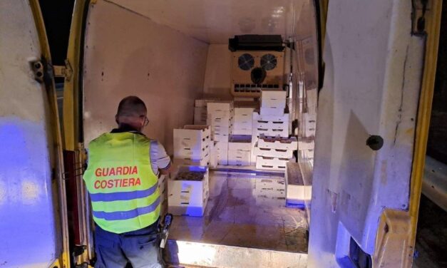 Controlli sul pescato, maxi sequestro di vongole a Roseto