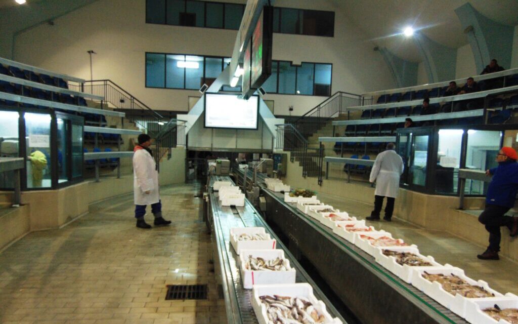 Pescara, nuovo mercato ittico pronto al trasferimento in autunno