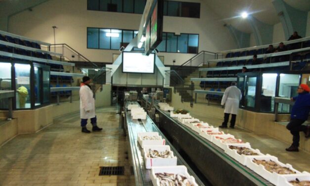 Pescara, nuovo mercato ittico pronto al trasferimento in autunno