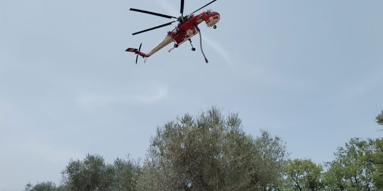 Roghi in più comuni teramani, giornata intensa per i vigili del fuoco