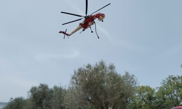Roghi in più comuni teramani, giornata intensa per i vigili del fuoco