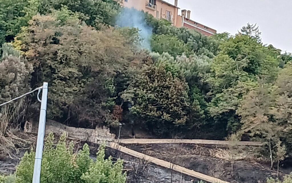Fiamme sulla collina di Giulianova, intervento rapido dietro il mercato