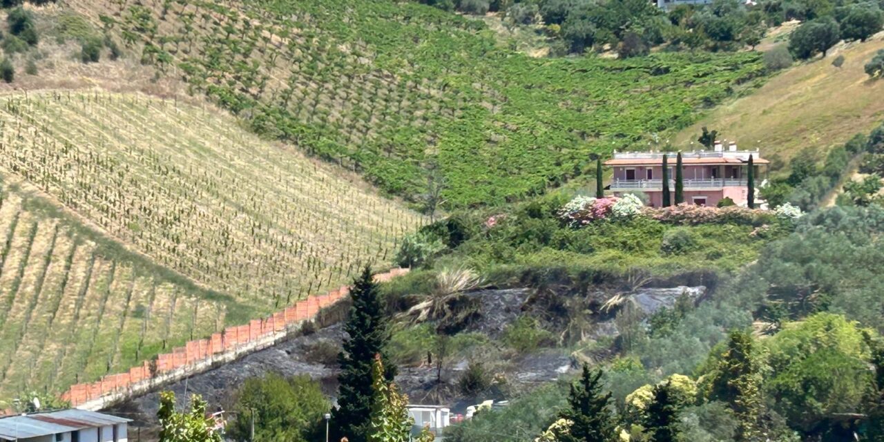 Rogo sulle colline di Tortoreto, fiamme vicino alle case
