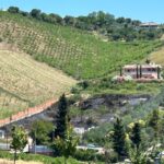 Rogo sulle colline di Tortoreto, fiamme vicino alle case