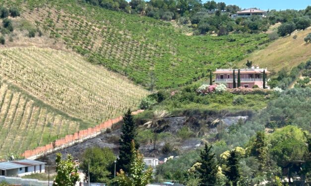 Rogo sulle colline di Tortoreto, fiamme vicino alle case