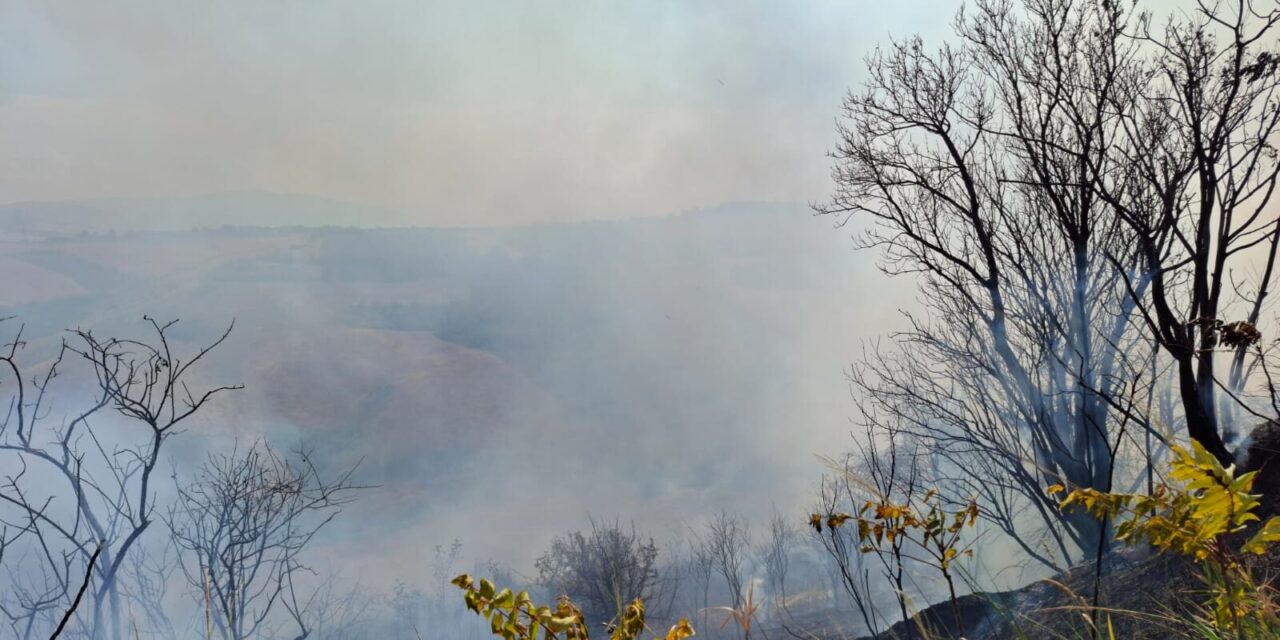 Incendi in Abruzzo, ancora attivi uomini e mezzi aerei