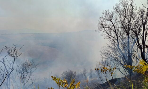 Incendi in Abruzzo, ancora attivi uomini e mezzi aerei