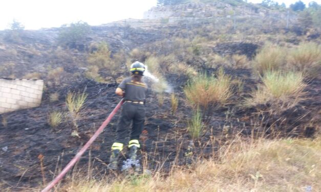 Roghi nel Teramano, notte di controlli a Colleminuccio