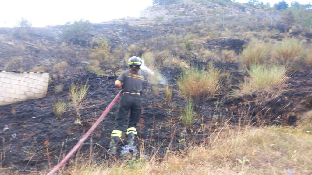 Roghi nel Teramano, notte di controlli a Colleminuccio