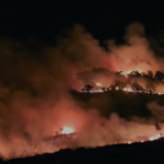 Incendi in Abruzzo, l’allarme del WWF sulla prevenzione