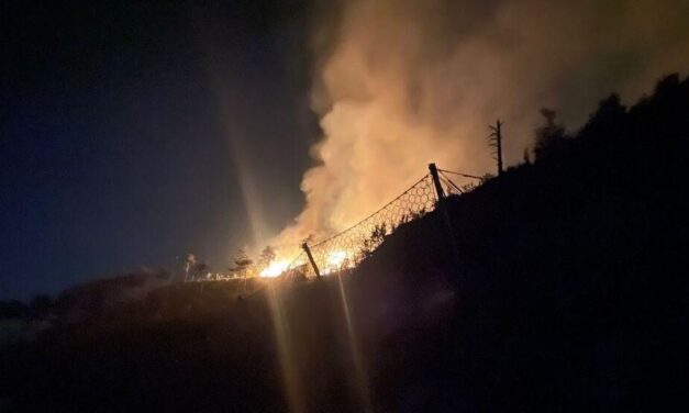Incendi boschivi, proposta in Regione sugli invasi d’altura