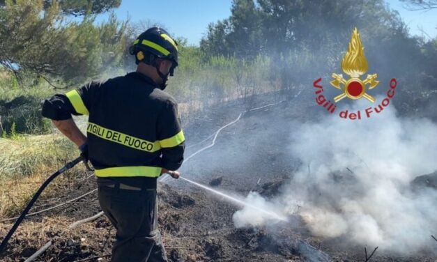 Incendio tra Elice e Città Sant’Angelo, ettari bruciati