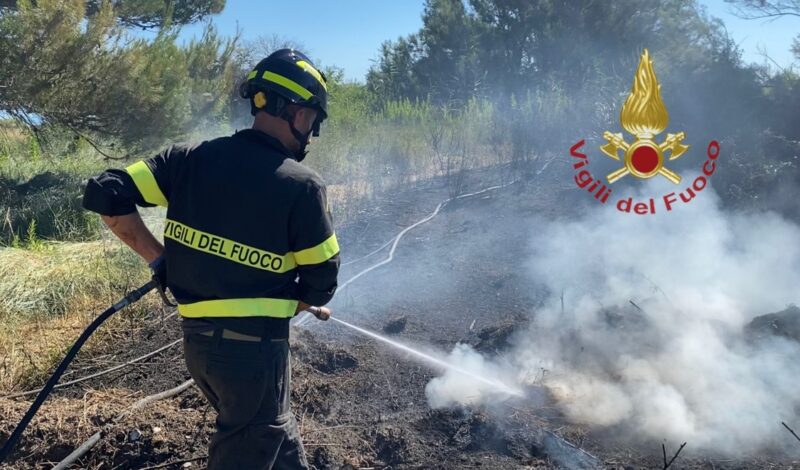 Incendio tra Elice e Città Sant’Angelo, ettari bruciati