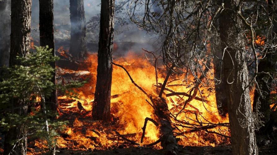 Roghi estivi, allarme anche in Abruzzo: cresce la pressione
