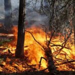 Abruzzo, al via il piano estivo contro gli incendi boschivi