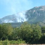Incendi in Abruzzo, proposta una regia stabile per i boschi
