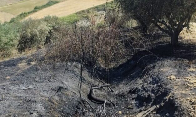 Roghi tra Pineto e area vestina, vigili del fuoco al lavoro