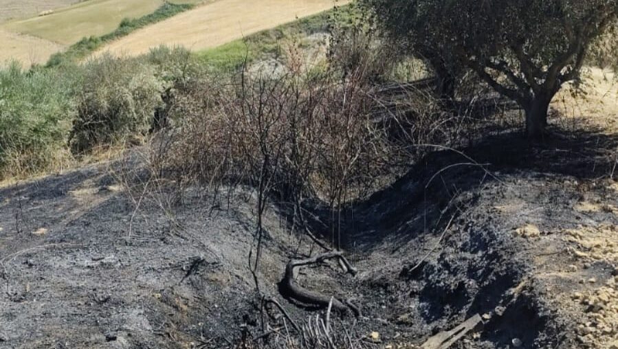 Roghi tra Pineto e area vestina, vigili del fuoco al lavoro