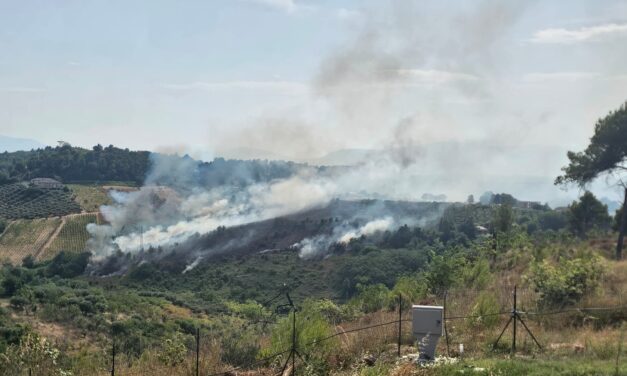 Roghi nel Teramano, interventi a Tortoreto e Villa Ripa