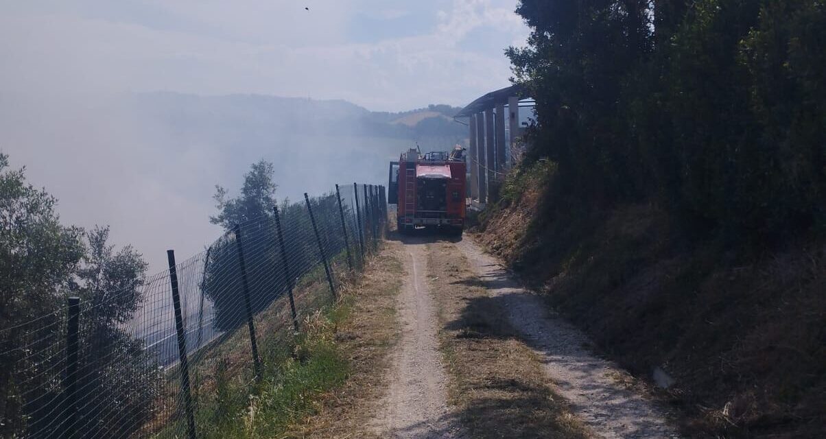 Rogo tra i pannelli a Bellante, in azione anche l’elicottero