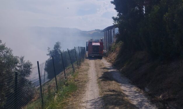 Rogo tra i pannelli a Bellante, in azione anche l’elicottero