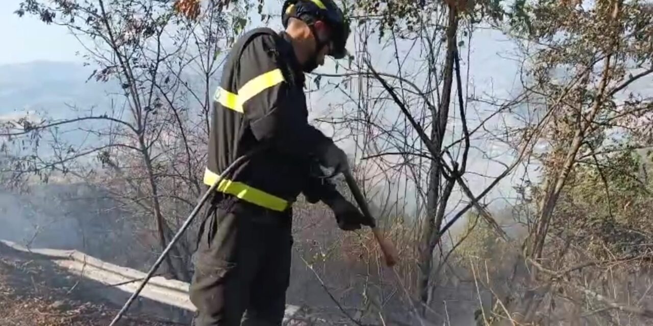 Montefino, rogo tra boscaglia e uliveti: vasto fronte di fuoco