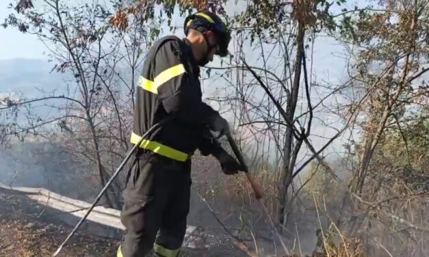 Montefino, rogo tra boscaglia e uliveti: vasto fronte di fuoco