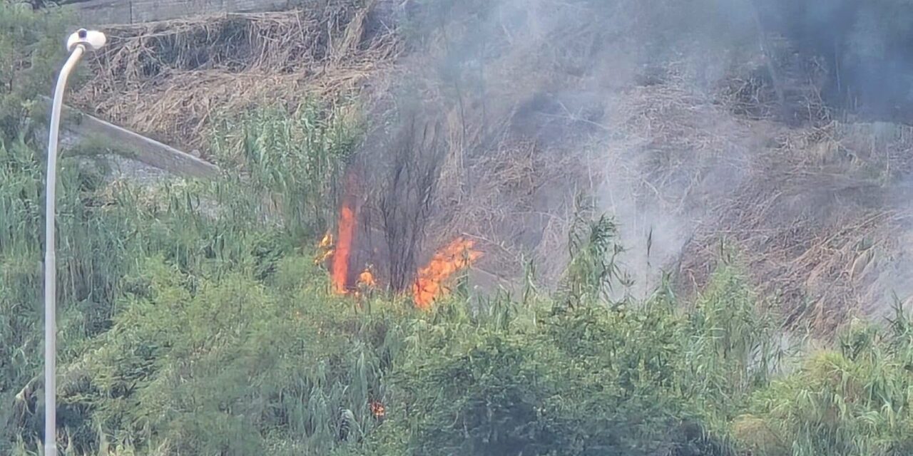 Fiamme in un’area incolta dietro il mercato coperto