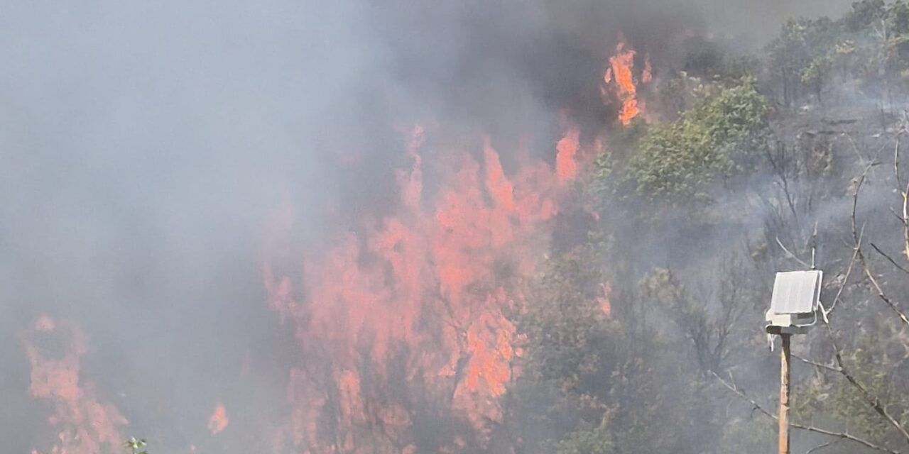 Fiamme a Montorio, incendio tra Santa Lucia e area del Vomano