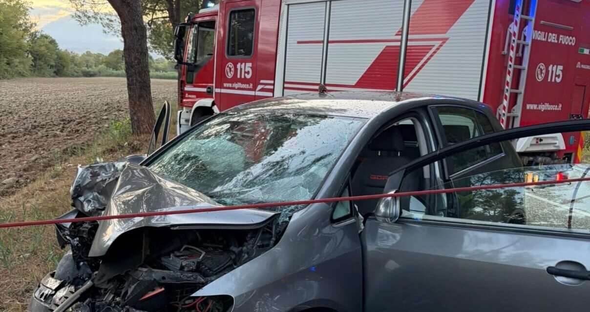 Strada del Salinello, cresce l’allarme per la sicurezza
