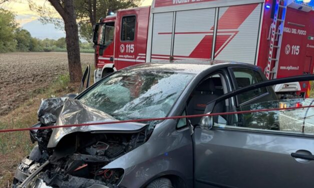 Strada del Salinello, cresce l’allarme per la sicurezza