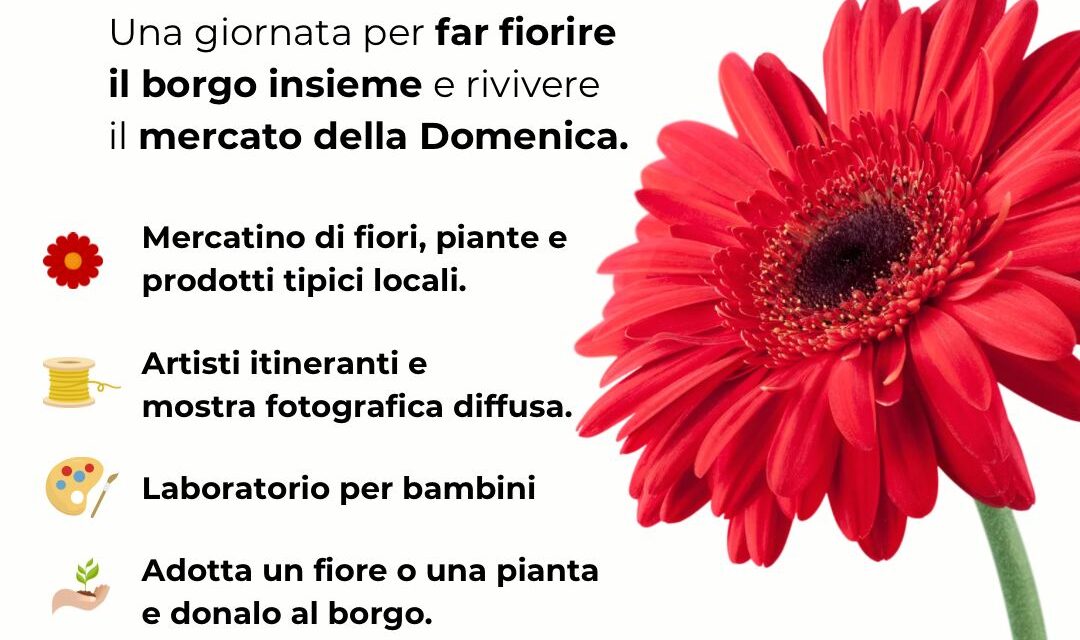 Sant’Omero, domenica il centro storico si anima con fiori e mercato