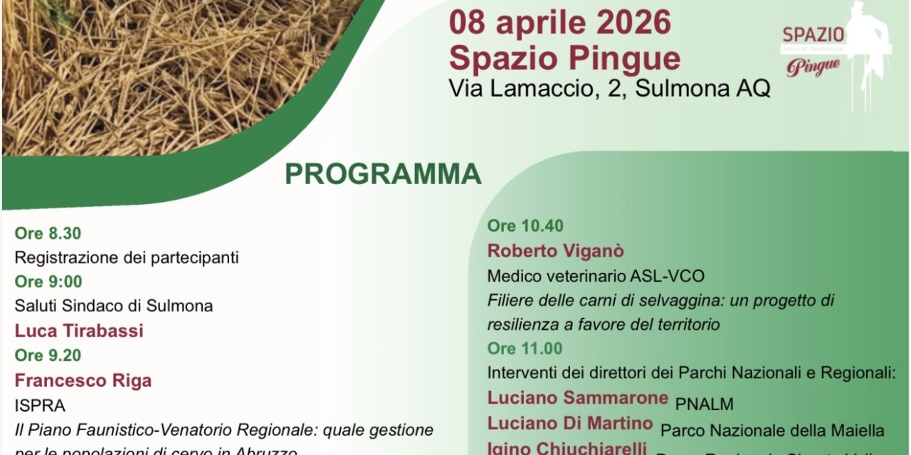 Cervi e danni alle colture, confronto pubblico in Abruzzo