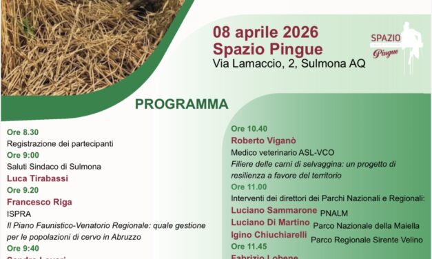 Cervi e danni alle colture, confronto pubblico in Abruzzo