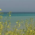 Mare pulito sulla costa teramana: ok ai controlli Arpa
