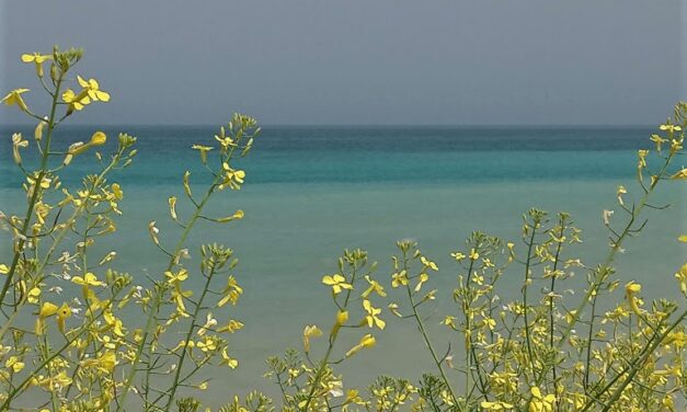 Mare pulito sulla costa teramana: ok ai controlli Arpa