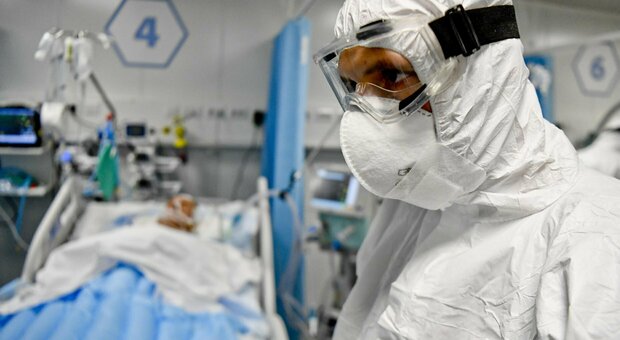 Hantavirus, in Abruzzo parte il coordinamento tra sanitari e Regione