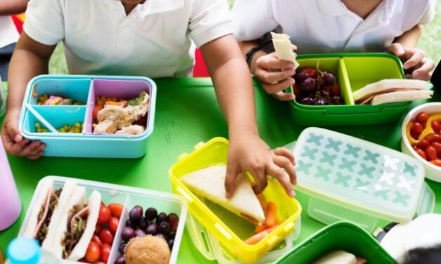 Mensa scolastica a Teramo, ancora centinaia le domande assenti