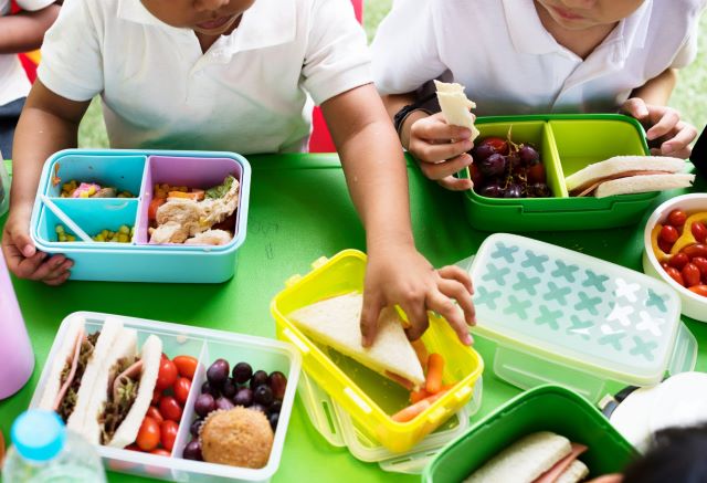 Mensa scolastica a Teramo, ancora centinaia le domande assenti