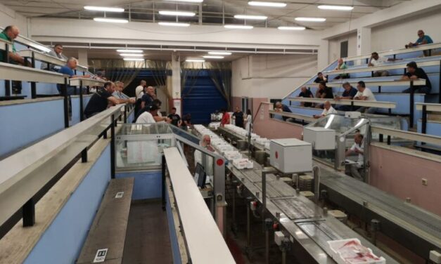 Mercato ittico di Pescara verso la banchina sud, ipotesi test con gli operatori