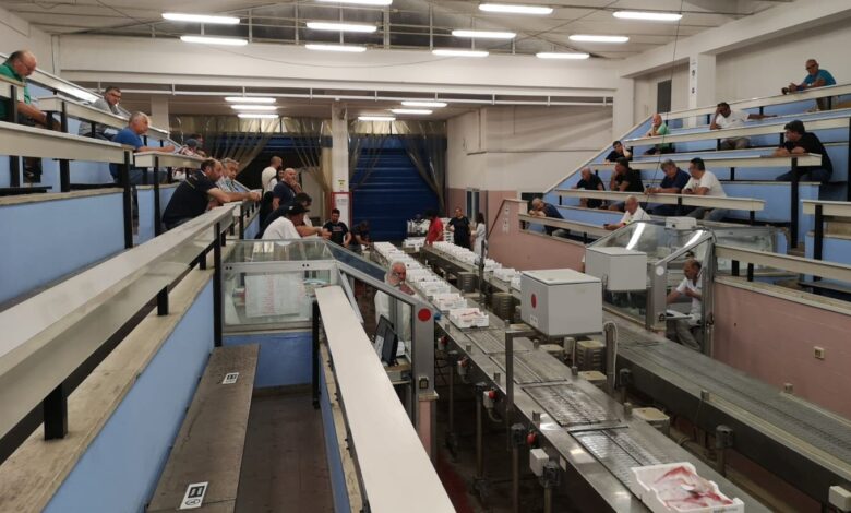 Mercato ittico di Pescara verso la banchina sud, ipotesi test con gli operatori