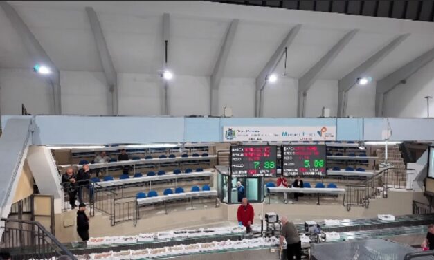Riparte la pesca a Pescara, riapre l’asta del mercato ittico