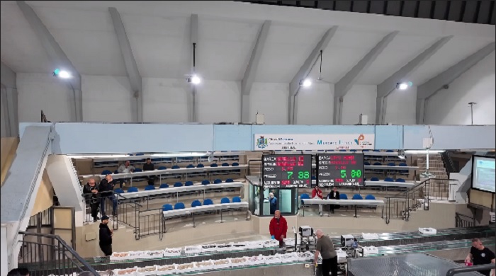 Riparte la pesca a Pescara, riapre l’asta del mercato ittico