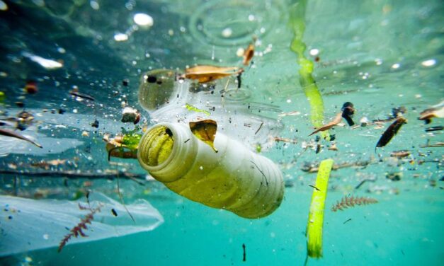 Progetto Giulianova Fishing for Litter