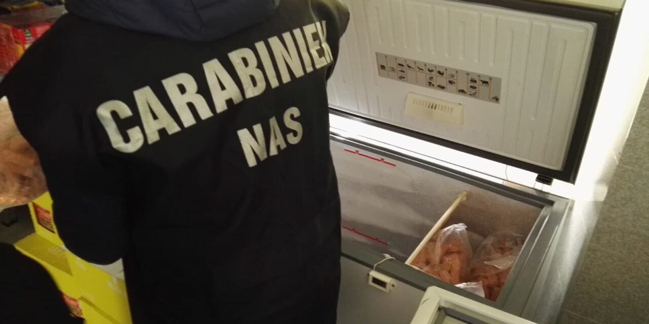 Controlli dei Nas sulla costa teramana, riscontrate irregolarità