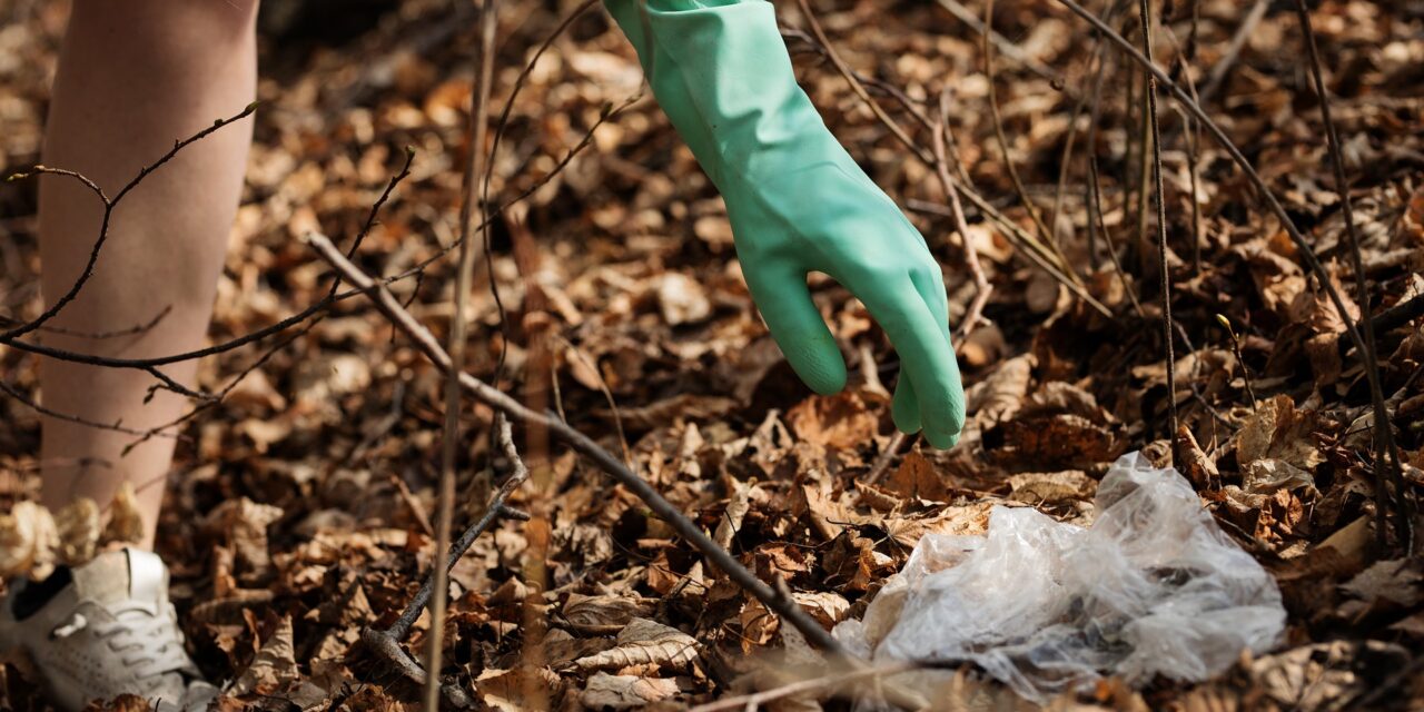 Giornata ecologica: puliamo il parco e la spiaggia