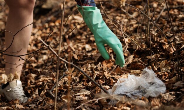 Giornata ecologica: puliamo il parco e la spiaggia