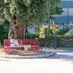 Sant’Omero ricorda Ester Pasqualoni, attenzione sul memoriale