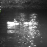 Ricci pescati illegalmente, tre sanzioni sulla costa abruzzese